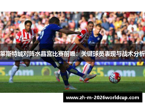 莱斯特城对阵水晶宫比赛前瞻：关键球员表现与战术分析